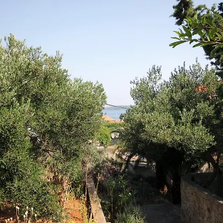 By The Sea Sali, Dugi Otok - 883 サリ