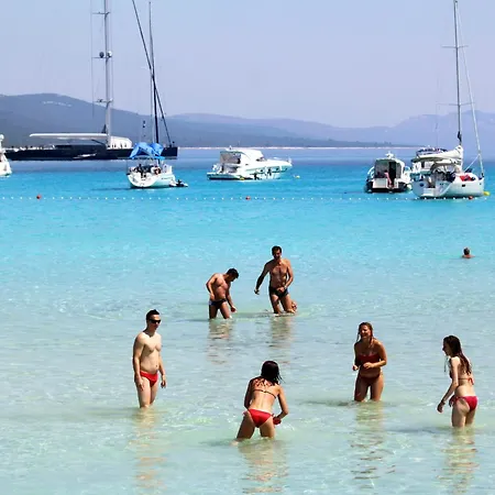 By The Sea Sali, Dugi Otok - 883 * サリ